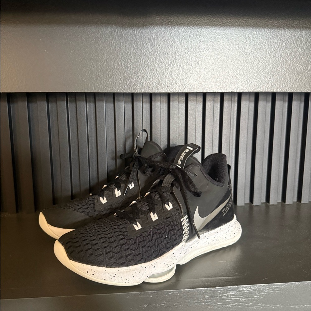 LeBron Nike Basketball Shoes